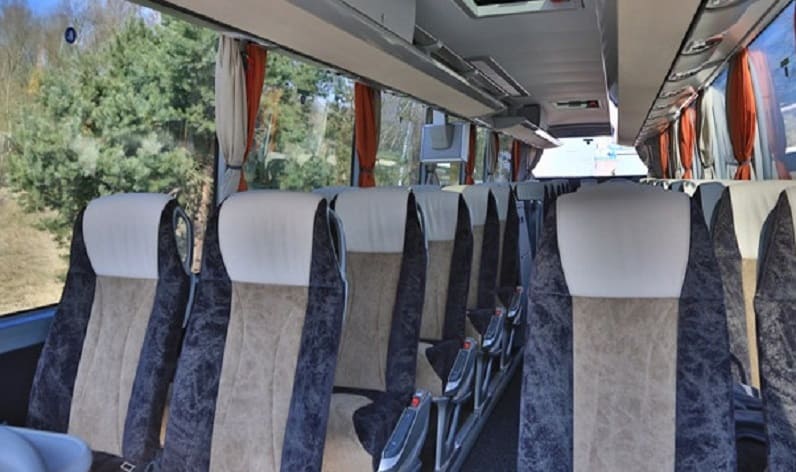Austria: Coach charter in Vienna in Vienna and Vienna