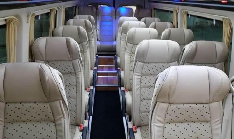 Austria: Coach company in Lower Austria in Lower Austria and Traiskirchen